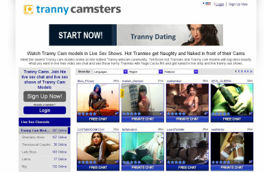 Tranny Cam Sex